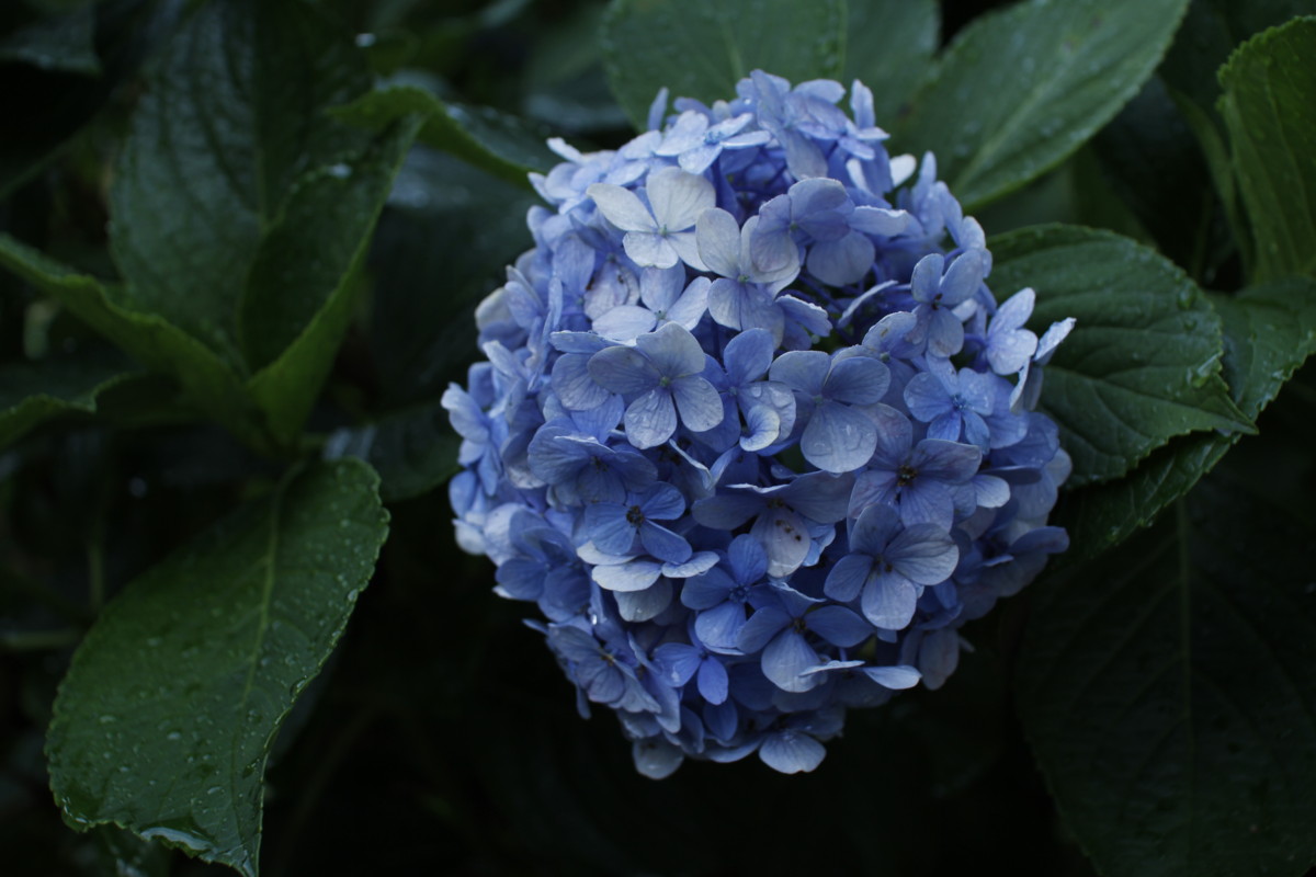 f:id:egyo2nd:20160710060859j:image:w320 f:id:egyo2nd:20160710060859j:image:w320