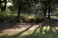 20160710061539