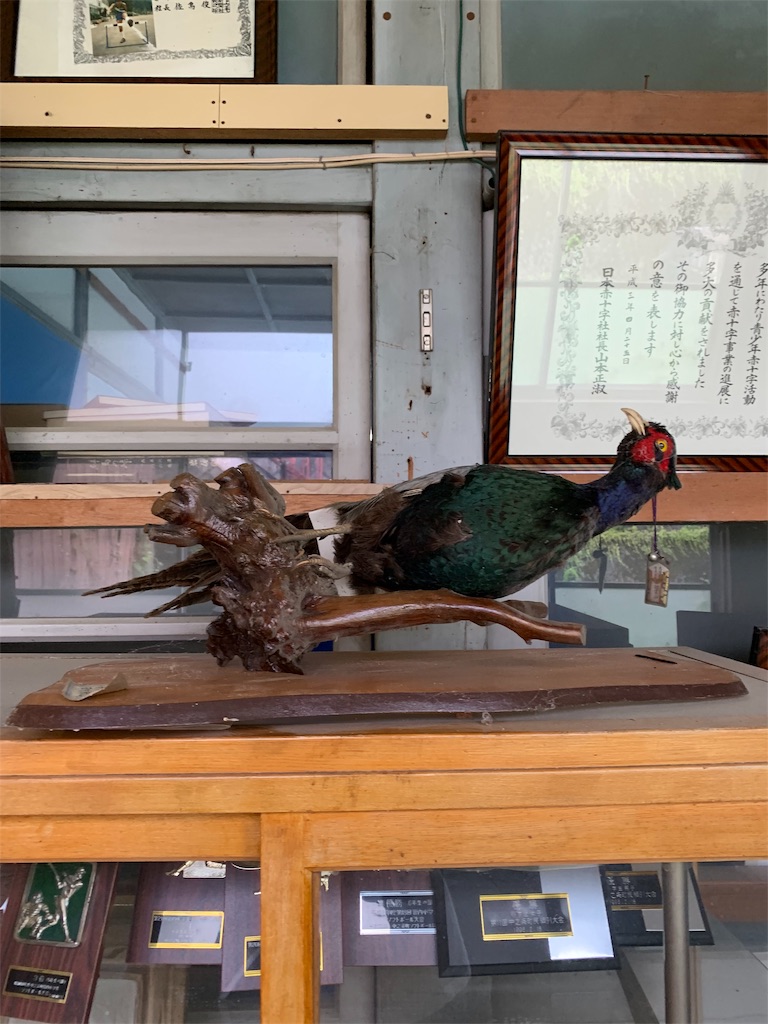 f:id:ehcts:20191126215139j:image