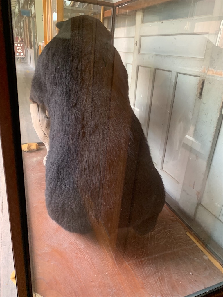 f:id:ehcts:20191126215254j:image