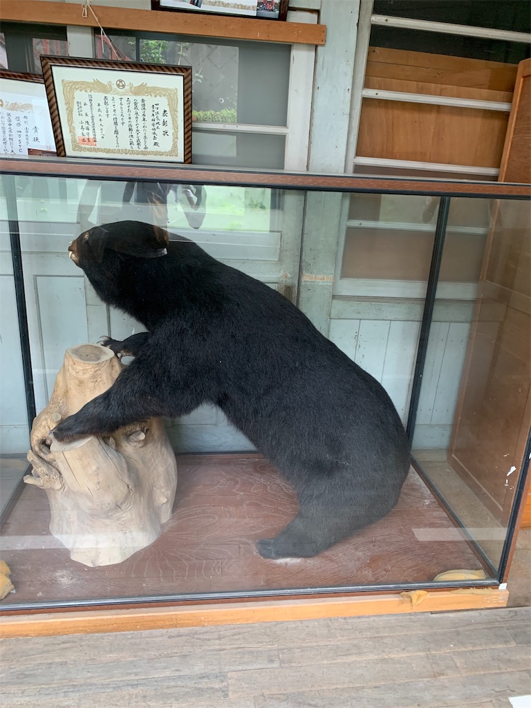 f:id:ehcts:20191126215516j:image