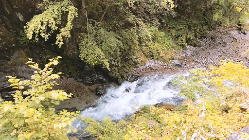 このまま水浴びすればいいんじゃないかな？