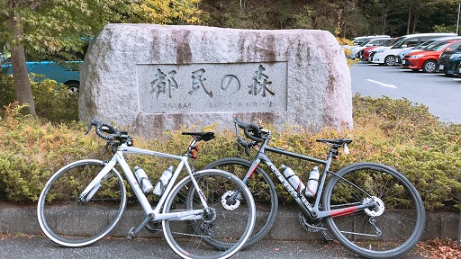 そうかそうか