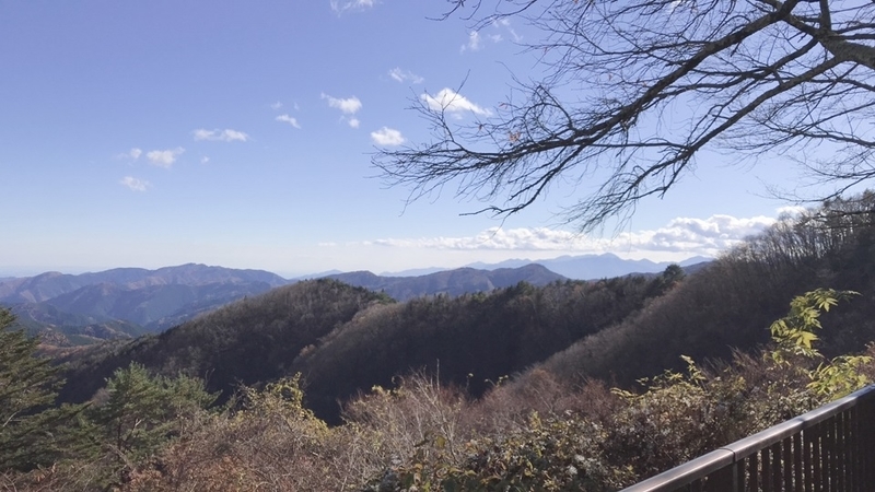 いい景色…