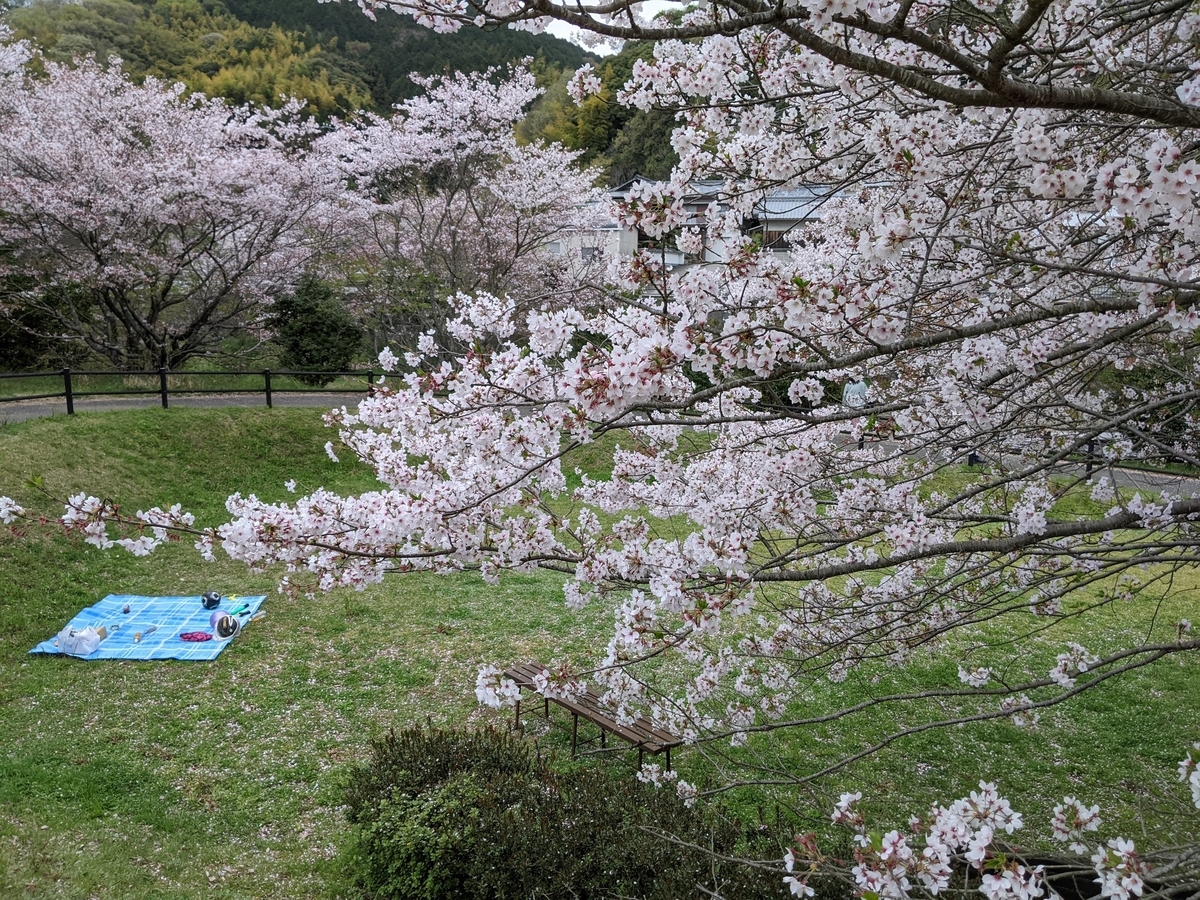 f:id:ehimeno:20210406155726j:plain