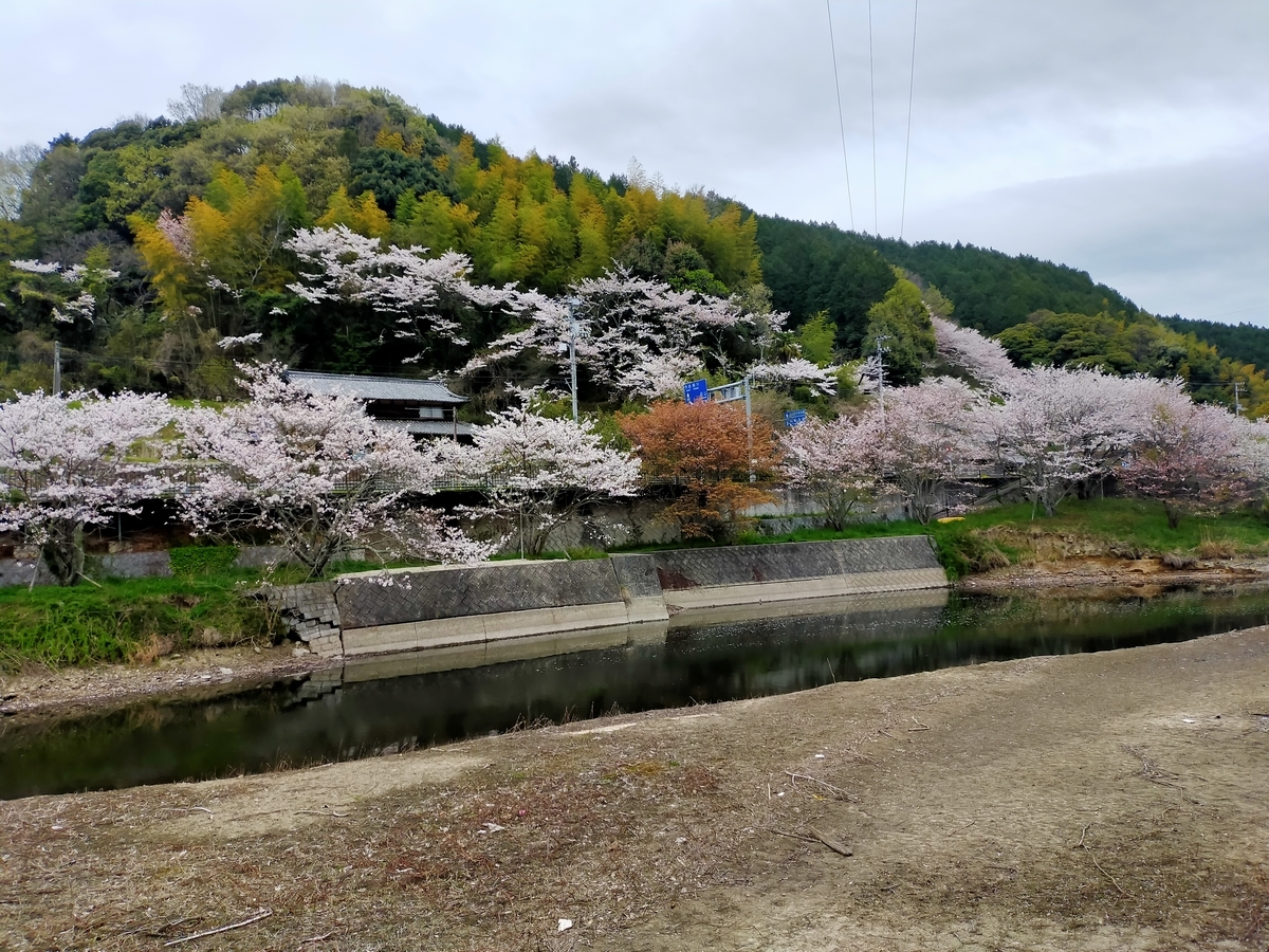 f:id:ehimeno:20210406155806j:plain