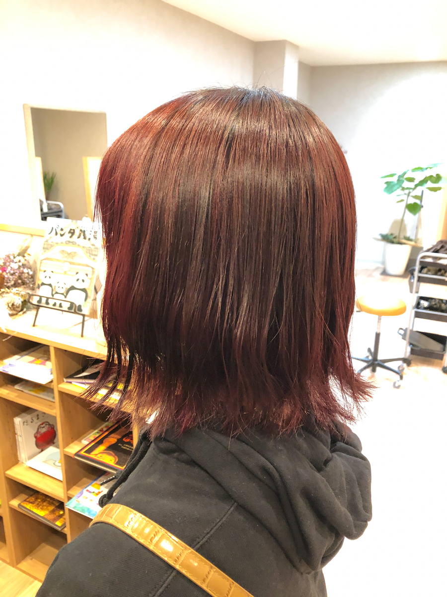f:id:ehon-salon1:20220110123944j:plain