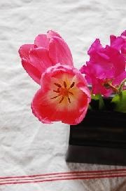 f:id:ehonbank:20140405232647j:image