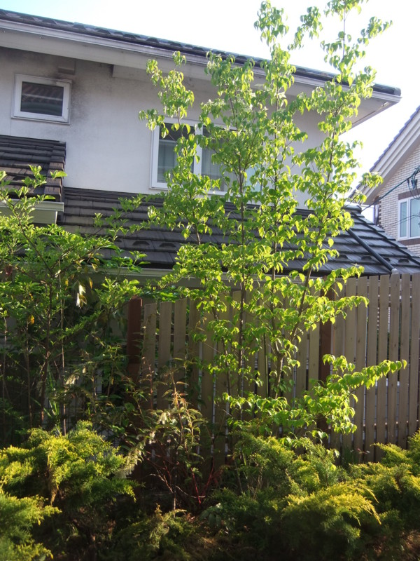 f:id:ehonbank:20150526173420j:image:w360