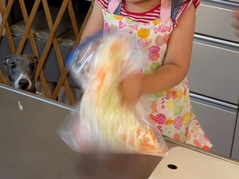 ジップロックをもみもみするはずが、ふりふりに