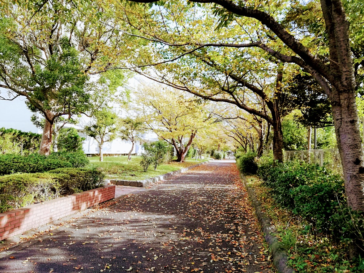 f:id:ehr32y:20200515231357p:plain