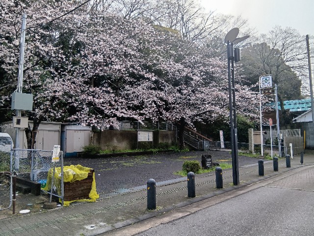 f:id:ei-ei-ou:20250404113017j:image