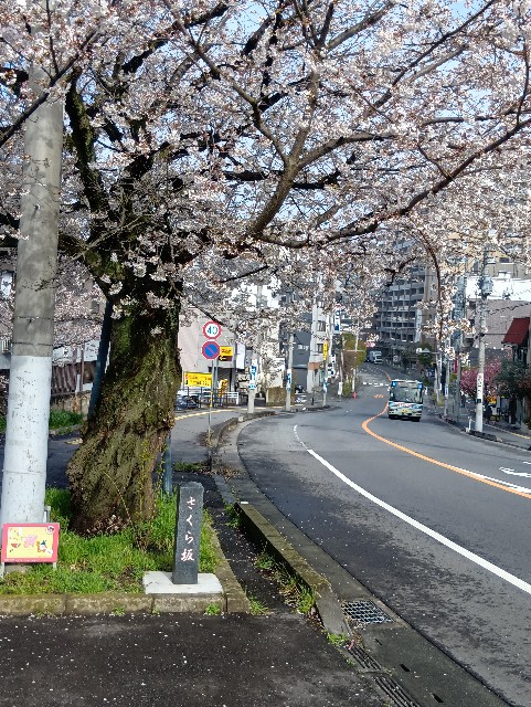 f:id:ei-ei-ou:20250404113027j:image