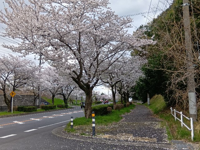 f:id:ei-ei-ou:20250407225343j:image