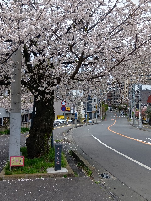 f:id:ei-ei-ou:20250407225407j:image