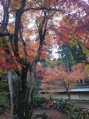 f:id:ei-gataro:20171123221850j:image:w270