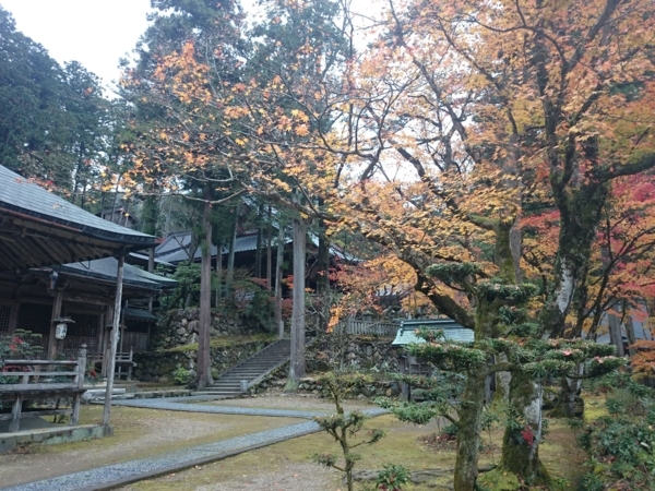 f:id:ei-gataro:20171129233141j:image:w270