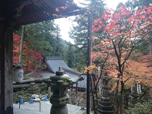 f:id:ei-gataro:20171129233143j:image:w270