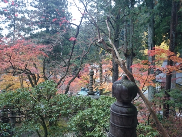 f:id:ei-gataro:20171129234615j:image:w270