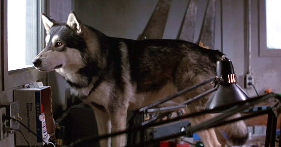 f:id:ei-gataro:20181024124609j:plain