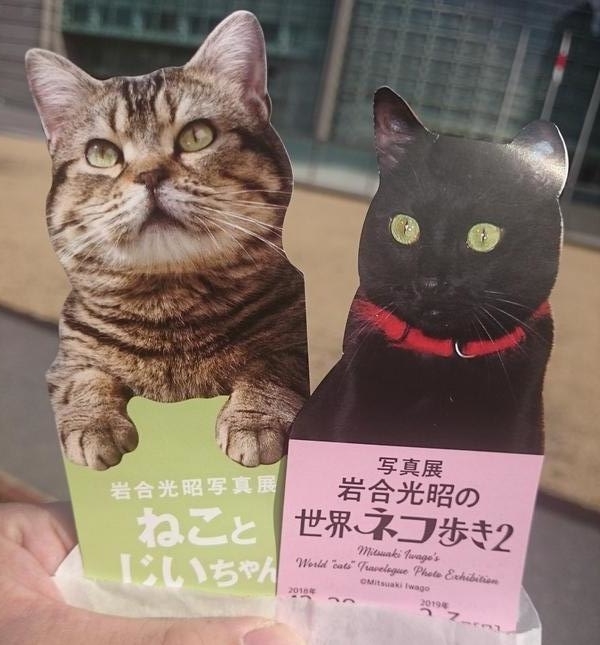 f:id:ei-gataro:20190123234432j:plain