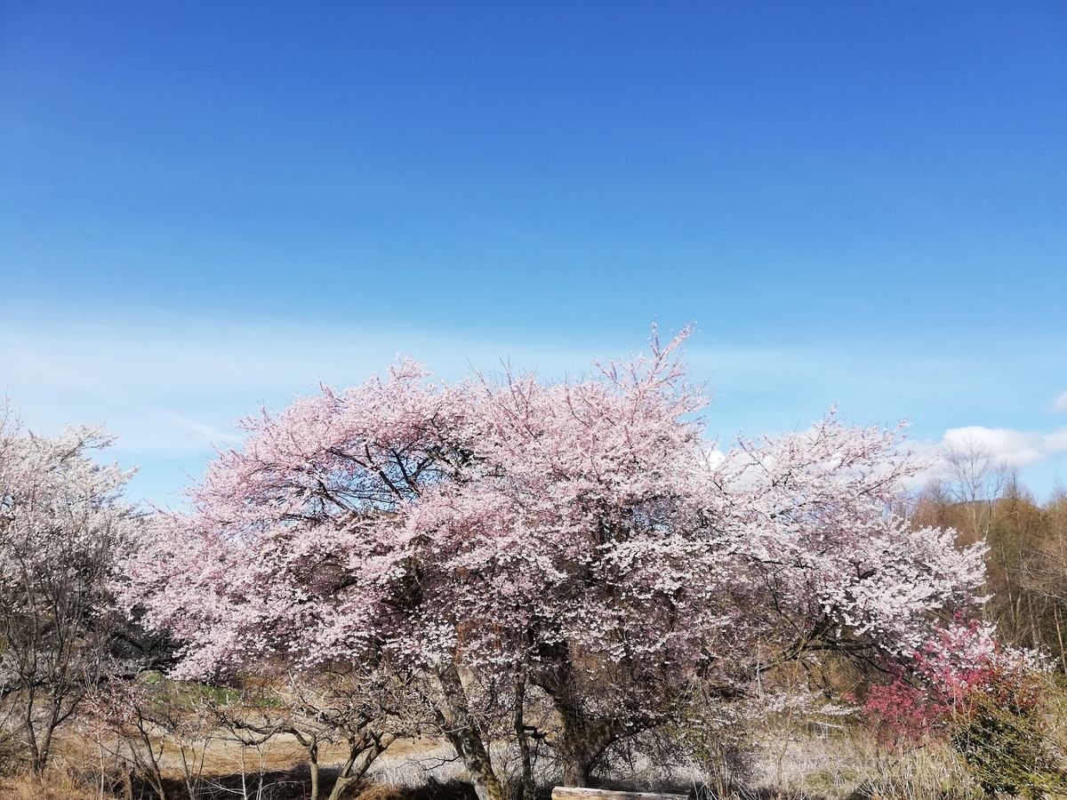 f:id:ei-ichi:20200419201055j:plain