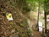 f:id:eichi44:20070604230425j:image