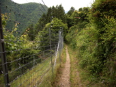 f:id:eichi44:20070604230427j:image