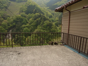 f:id:eichi44:20090504161604j:image