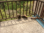f:id:eichi44:20090504161606j:image