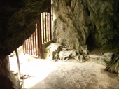 f:id:eichi44:20090504165026j:image