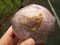 f:id:eichi44:20090504185705j:image