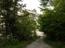 f:id:eichi44:20090505141954j:image
