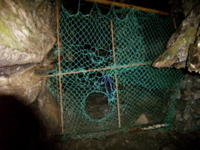f:id:eichi44:20090507000038j:image
