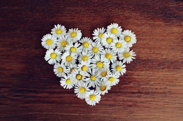 f:id:eicoco:20191019221706j:plain