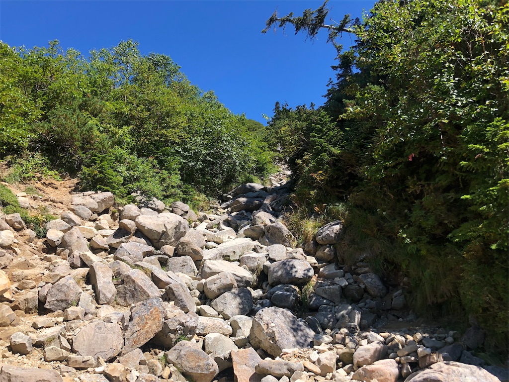 f:id:eie0x0:20190921120006j:image f:id:eie0x0:20190921120006j:image