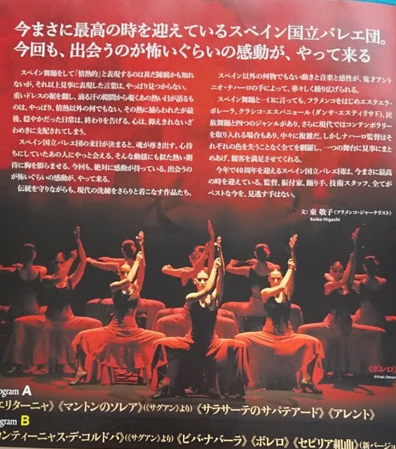 f:id:eiei32:20190316163841j:image