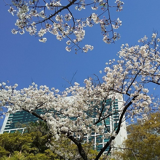 f:id:eiei32:20190410074840j:image