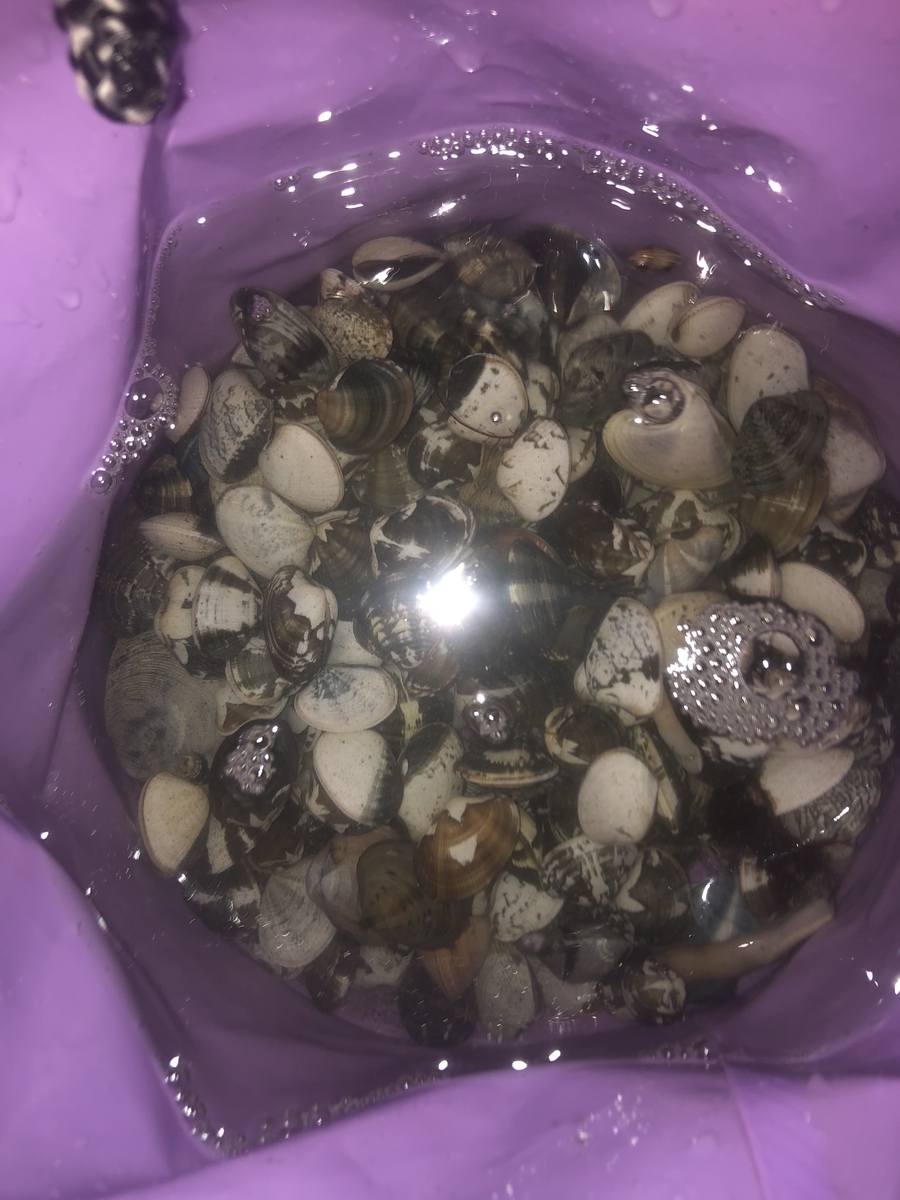 f:id:eieiohh:20190323122825j:plain