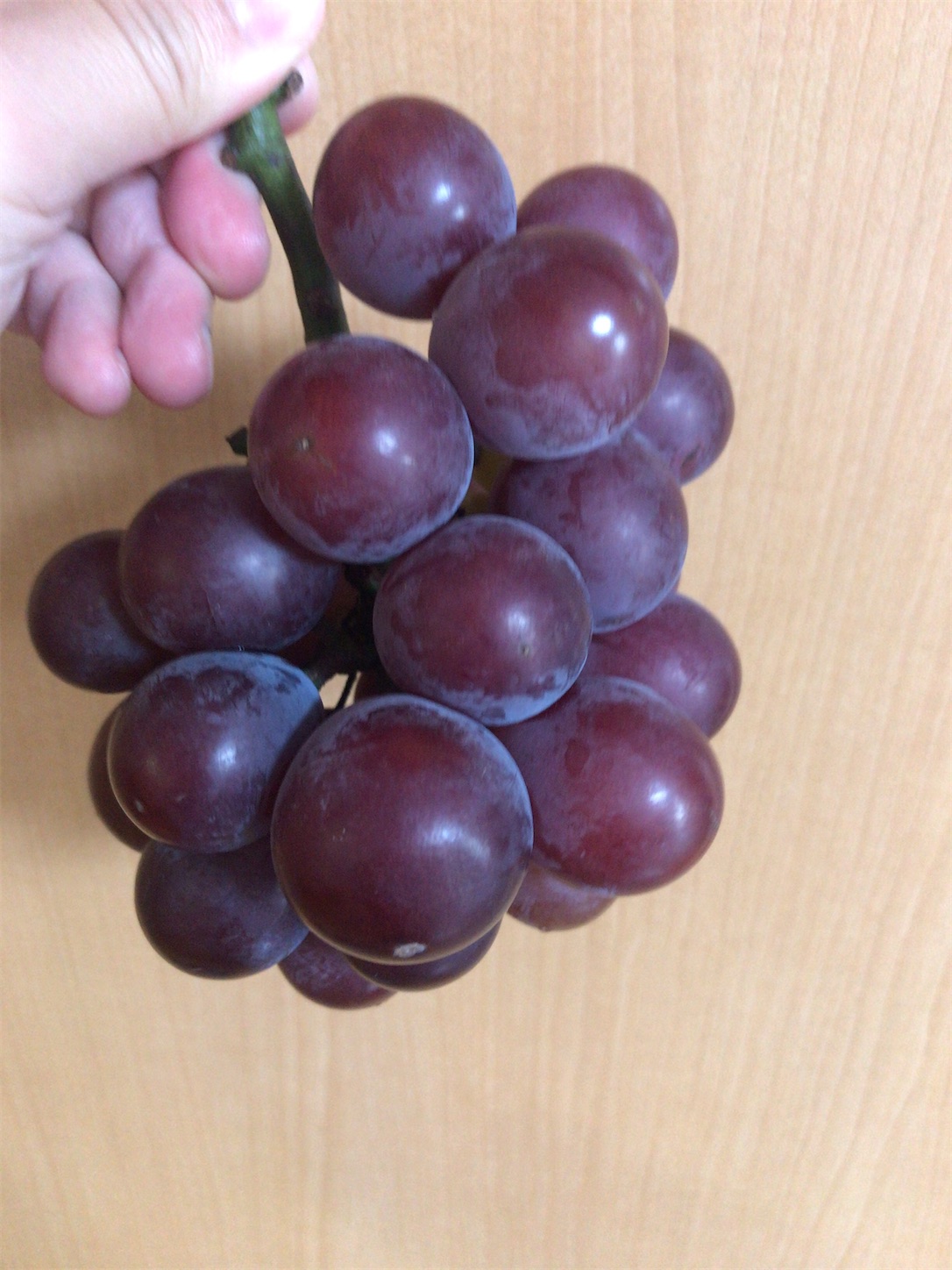 f:id:eieiou55:20210926141731j:image