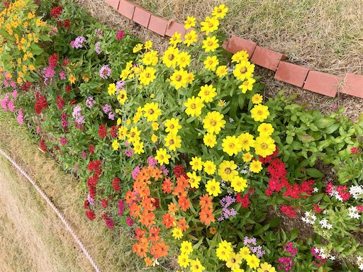 f:id:eieiou55:20211024200040j:image