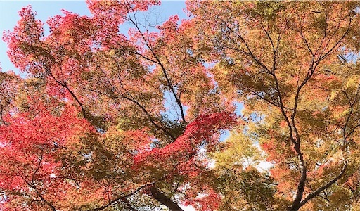 f:id:eieiou55:20211104002054j:image