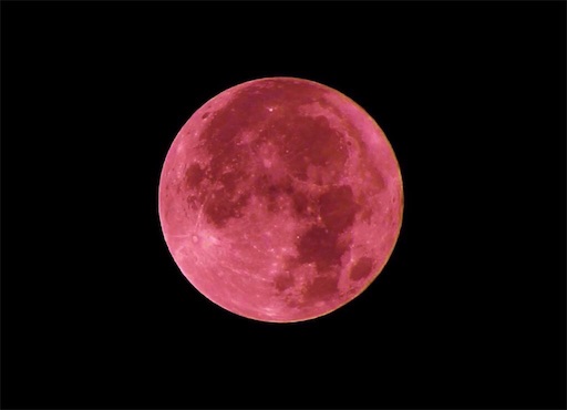 f:id:eieiou55:20211120090648j:image