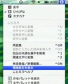 20090725214407