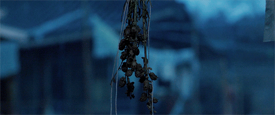 f:id:eiga-blog:20180317020922g:plain