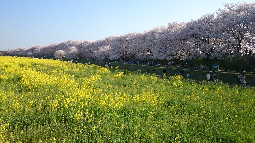 f:id:eigabigakkou:20150402154403j:plain