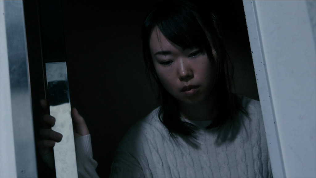 f:id:eigabigakkou:20190213132523p:plain