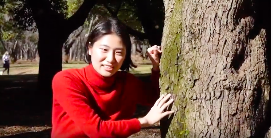 f:id:eigabigakkou:20200211215653p:plain