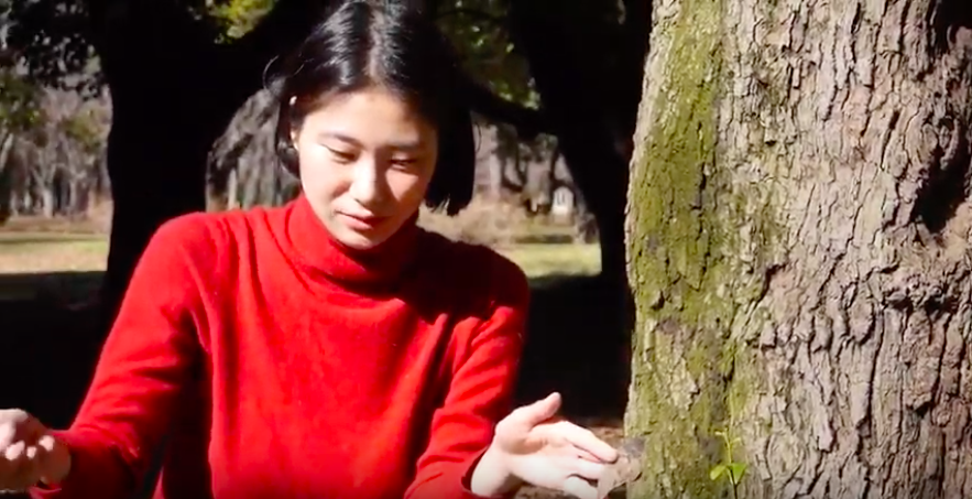 f:id:eigabigakkou:20200211215725p:plain