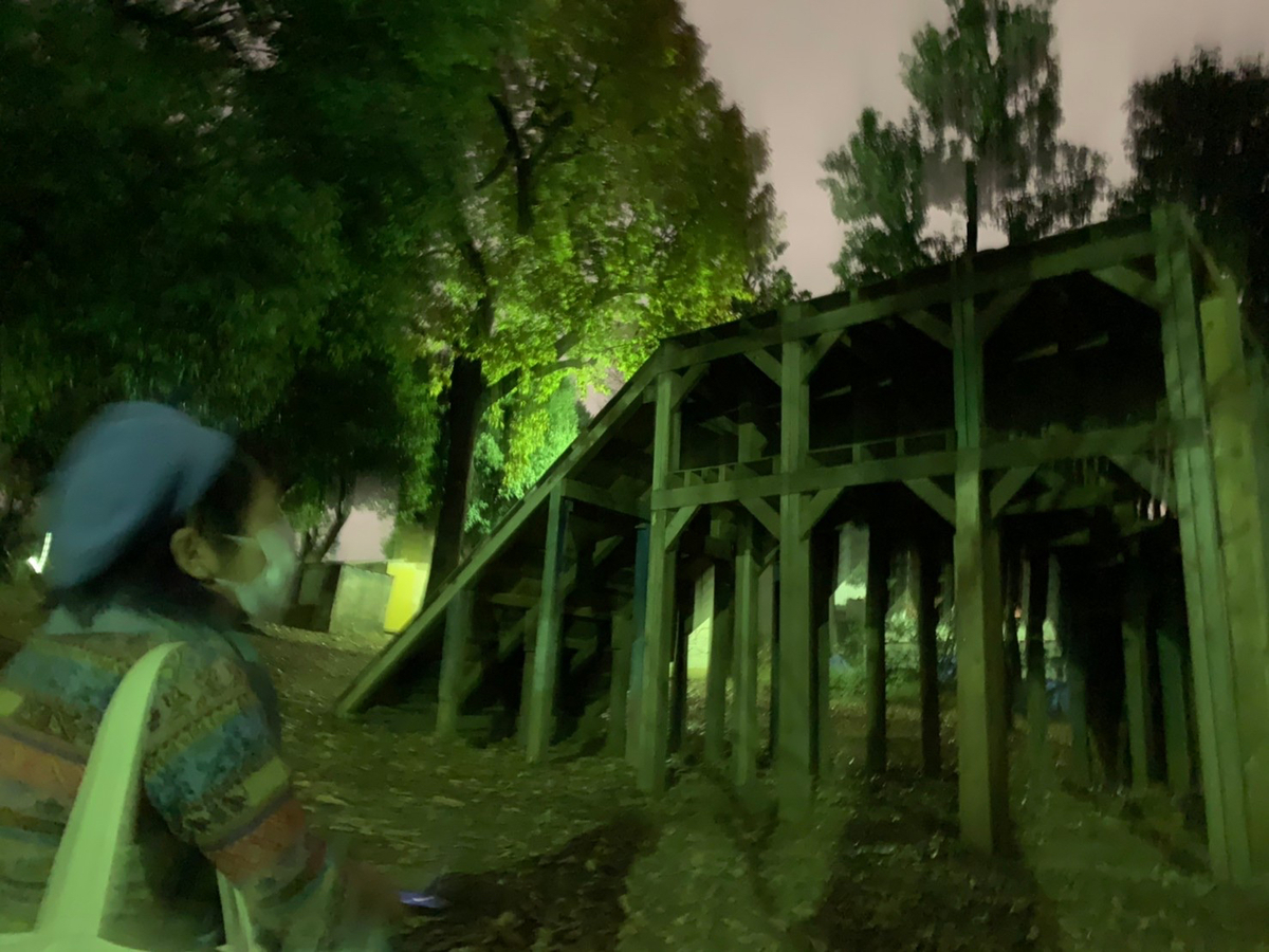 f:id:eigabigakkou:20201213132948j:plain